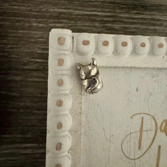 PANDORA Charms - Picture 4 of 5